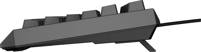 Genesis Thor 230 TKL, schwarz, LEDs RGB, hot-swap, Gaote Outemu BROWN, USB, US