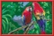 Ravensburger Malen nach Zahlen Bunte Papageien Vorschaubild