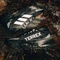 adidas Terrex Agravic GTX Trail core black/silver dawn/grey two (Damen) Vorschaubild