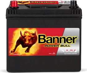Banner Power Bull P6069