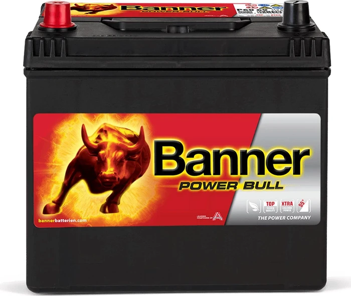 Banner Power Bull P6069