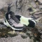 adidas Terrex AX4 Mid GTX preloved fig/grey three/green spark (Damen) Vorschaubild