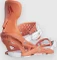 Jones Equinox Softbindung (Damen) (Modell 2025/2026) Vorschaubild