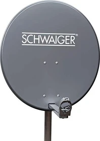 Schwaiger SPI 621 grau