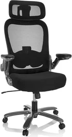 HJH Office Instructor T Pro Ttan XXL Bürostuhl, schwarz/silber
