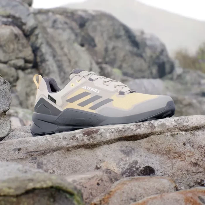 adidas Terrex Swift R3 GTX wonder beige/charcoal/semi spark (Herren)
