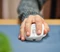 Trust Niven Comfortable Multi-Device Wireless Mouse weiß, USB/Bluetooth Vorschaubild