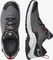 Salomon X Raise 2 GTX quiet shade/black/goji berry (Herren) Vorschaubild