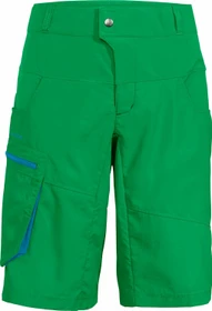 Vaude Qimsa Shorts Fahrradhose kurz apple green (Herren)
