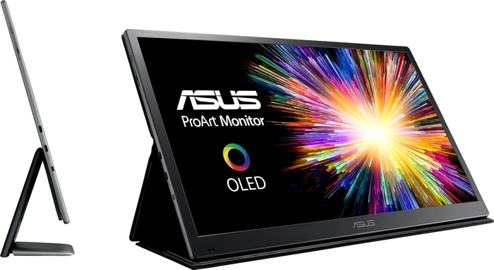 ASUS ProArt PQ22UC, 21.6"