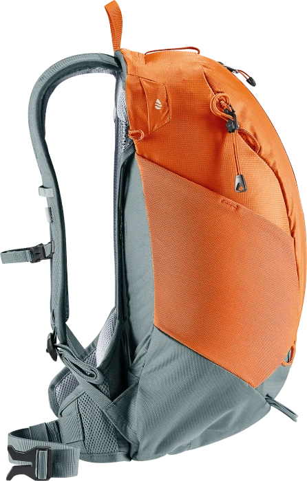 Deuter AC Lite 17 chestnut/teal