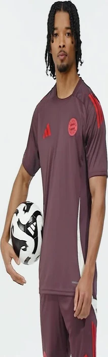 adidas FC Bayern München Tiro 24 Trainingstrikot shadow maroon/red (Herren)