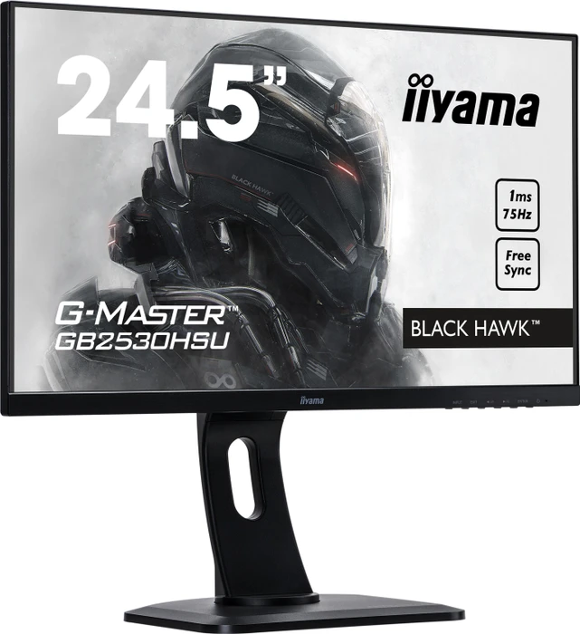 iiyama G-Master GB2530HSU-B1 Black Hawk, 24.5"