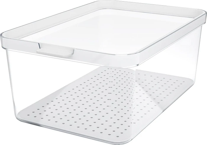 Rotho Cauma Kühlschrankorganizer Aufbewahrungsbehälter 4.65l