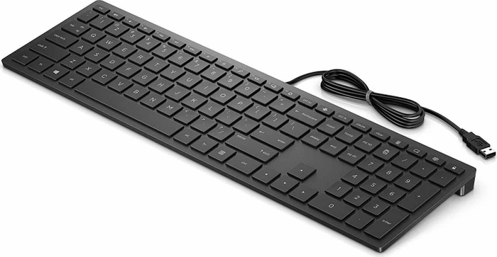 HP Pavilion Wired Keyboard 300, schwarz, USB, DE
