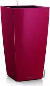 Lechuza Cubico 22 scarlet rot hochglanz