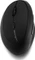 Kensington Pro Fit Ergo Mouse, USB Vorschaubild