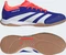 adidas Predator Elite IN lucid blue/cloud white/solar red Vorschaubild