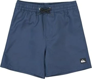 Quiksilver Everyday Deluxe 14" Badeshorts dark navy (Junior)