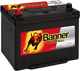 Banner Power Bull P7024