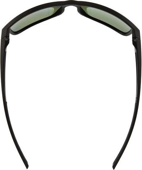 Julbo Renegade matt black-black/polarized 3