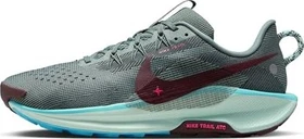 Nike Pegasus Trail 5 clay green/bleached turquoise/seaweed/burgundy crush (Herren)