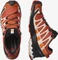 Salomon XA Pro 3D V8 GTX mecca orange/peachy keen/red orange (Damen) Vorschaubild