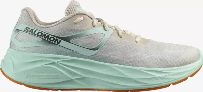 Salomon Aero Glide bleached sand/yucca/orange pepper (Herren)