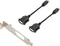 PNY NVS 310 + DVI-Adapter, 512MB DDR3, 2x DP Vorschaubild