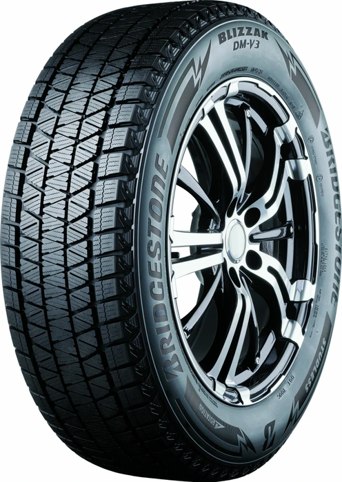 Bridgestone Blizzak DM-V3 215/70 R16 100S