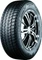 Bridgestone Blizzak DM-V3 215/70 R16 100S Vorschaubild