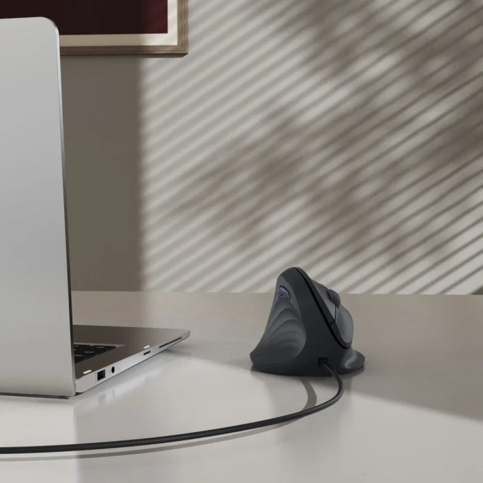 Hama ECM-500L Vertical Maus schwarz, Linkshänder, USB