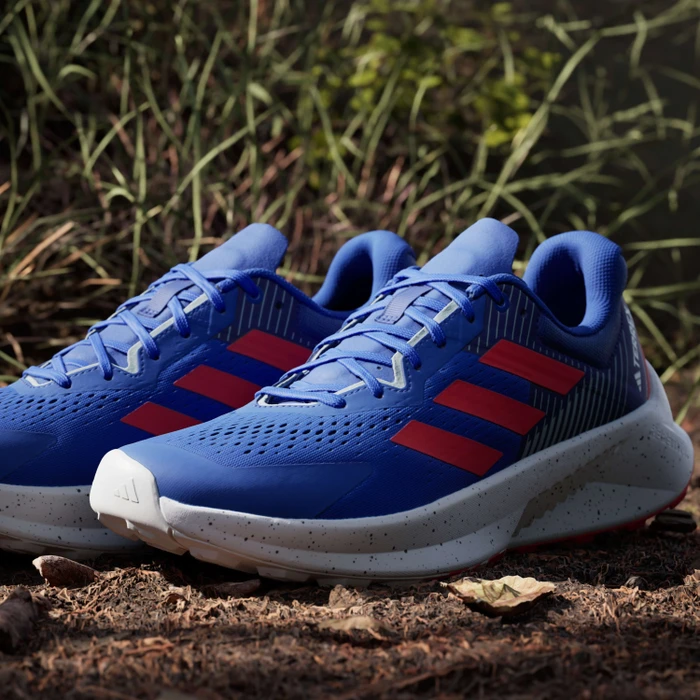 adidas Terrex Soulstride Flow dash grey/pure ruby/semi lucid blue (Herren)