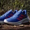 adidas Terrex Soulstride Flow dash grey/pure ruby/semi lucid blue (Herren) Vorschaubild
