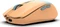 Inca IWM-511RT Wireless Mouse orange/blau, USB/Bluetooth Vorschaubild