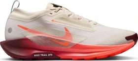 Nike Pegasus Trail 5 Gore-Tex sail/hyper crimson/glacier blue/black (Herren)