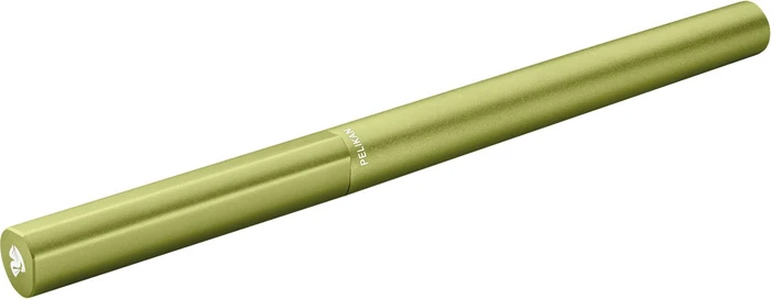 Pelikan Ineo Elements P6 frühlingsgrün, rechte Hand, mittel, Etui