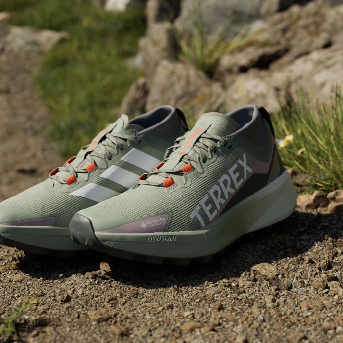 adidas Terrex Agravic GTX Trail silver green/cloud white/preloved fig (Damen)