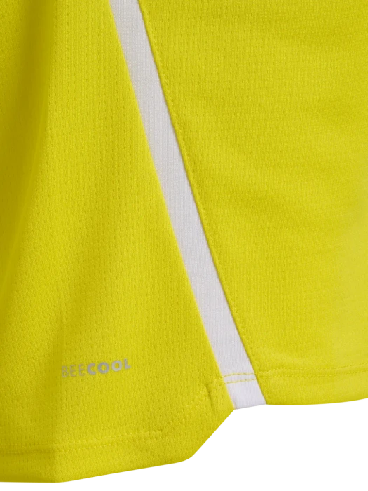 hummel Lead 2.0 Funktionsshirt kurzarm blazing yellow/black (Herren)