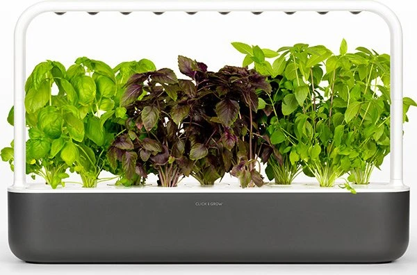 Click & Grow Smart Garden 9 Indoor grau