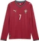 Puma FIFA WM 2026 Portugal Ronaldo Heimtrikot langarm (Herren) Vorschaubild