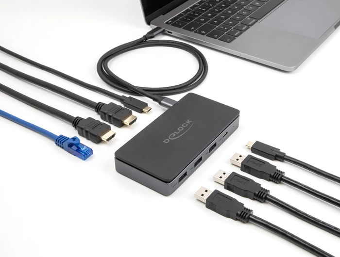 DeLOCK USB Type-C Docking Station, USB-C 3.0 [Buchse]