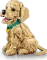 LEGO Icons - Golden Retriever Welpe Vorschaubild
