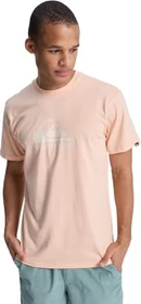 Quiksilver EV Comp Logo T-Shirt kurzarm peach parfait (Herren)