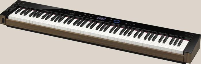 Casio Privia PX-S6000