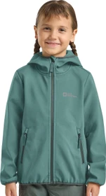 Jack Wolfskin Fourwinds Funktionsjacke jade green (Junior)