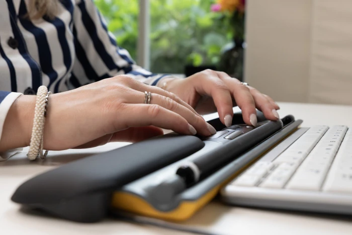BakkerElkhuizen ErgoSlider+ Central Mouse, USB-A