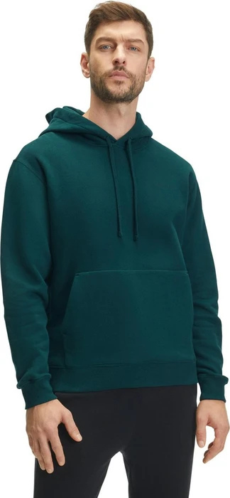 Falke Basic Apparel Hoodie holly (Herren)
