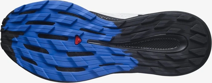 Salomon Pulsar Trail lunar rock/black/dazzling blue (Herren)
