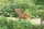 Garden Pleasure Alaska Gartenliege (985067)